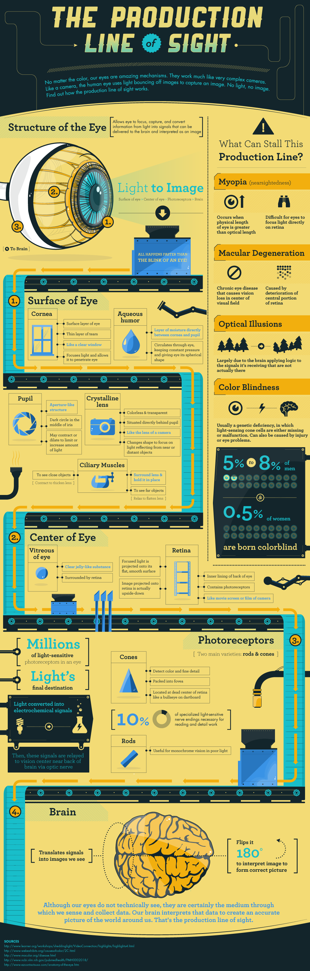 The Production Line of Sight (Infographic) Zenni Optical